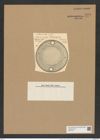 Pseudauliscus spinosus (Christ) Rattr. (de-Toni-Nr.: Genus 172, Species 4415) Zeichnungen Sammlung Grunow Nr. 7979 (NHMW-BOT-W0377271)